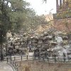Photos de Chine
