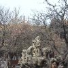Photos de Chine
