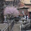 Photos de Chine