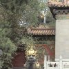 Photos de Chine