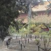 Photos de Chine