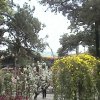 Photos de Chine