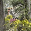 Photos de Chine