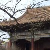 Photos de Chine