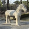 Photos de Chine