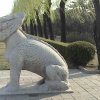 Photos de Chine