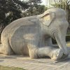 Photos de Chine