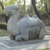 Photos de Chine