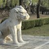 Photos de Chine