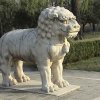 Photos de Chine