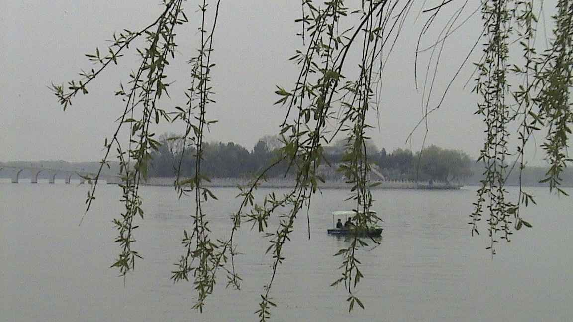 Chine